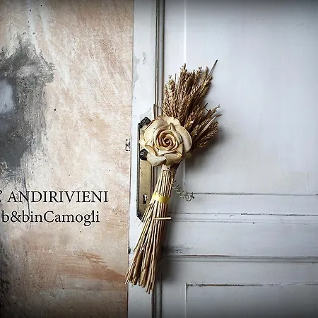 Bed & Breakfast L'andirivieni Camogli
